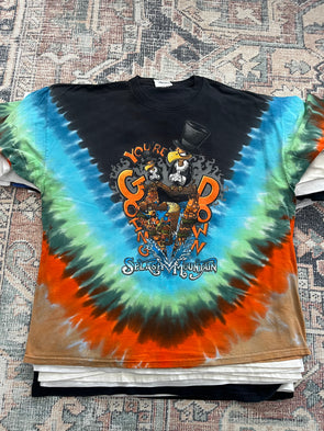 Vintage Splash Mountain Tee